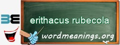 WordMeaning blackboard for erithacus rubecola